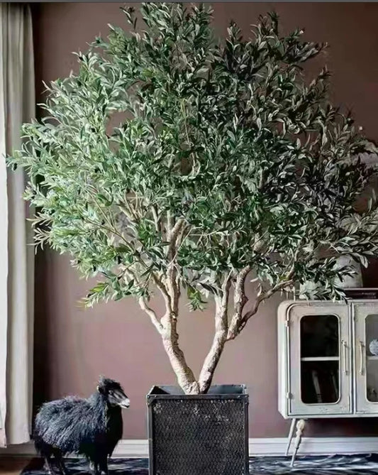 Manufacturer's Artificial 180cm Bonsai Potted Olive Tree Grass-Type Decorative Silk Leaves Features Fake Plastic Olive Leaf