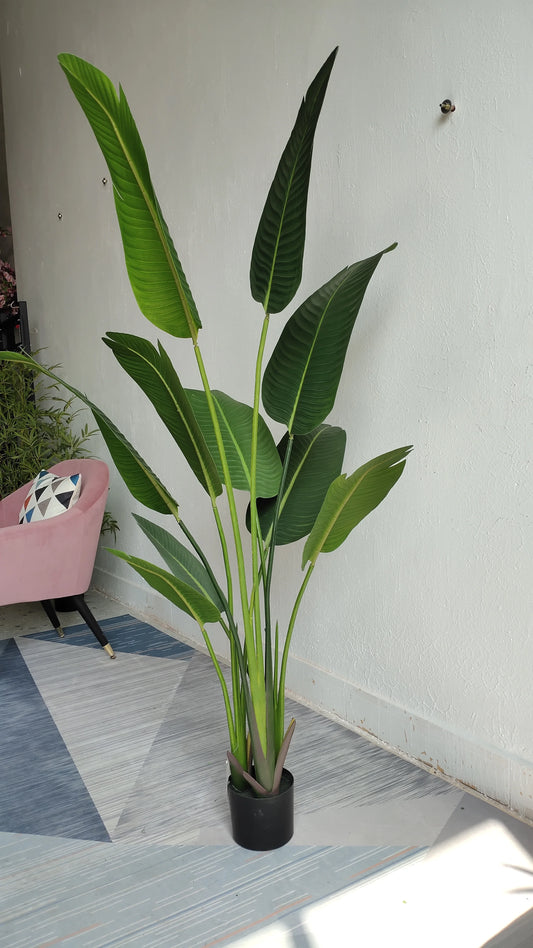 Artificial Banana Plants 150cm Tall Use for Home Office Plastic Plants