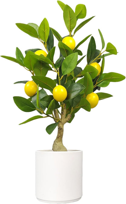 Artificial Lemon Tree 20.5 Inches Tall, Fake Potted Citrus Plant with Lemons, Faux Fruit Plant Medium Fake Houseplant for Indoor Home Office Desk Room Table Decor