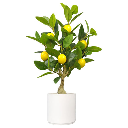 Artificial Lemon Tree 20.5 Inches Tall, Fake Potted Citrus Plant with Lemons, Faux Fruit Plant Medium Fake Houseplant for Indoor Home Office Desk Room Table Decor