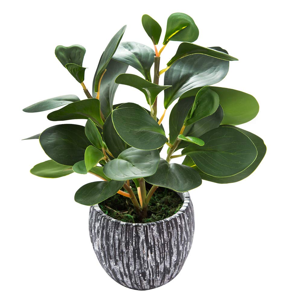 Artificial Plants Decor Greenery Fake Succulents Indoor Potted Fake Plant for Home Decor Farmhouse Room Bathroom Bedroom Kitchen Office Table Decor