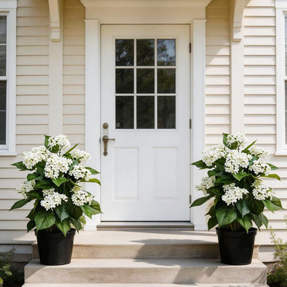 24 Inch Artificial White Hydrangea Potted Plant,Faux Silk Flower Bonsai Tree with Black Planter, Realistic Fake Flower for Tabletop, Shelf, Home Bedroom Office Porch Decor