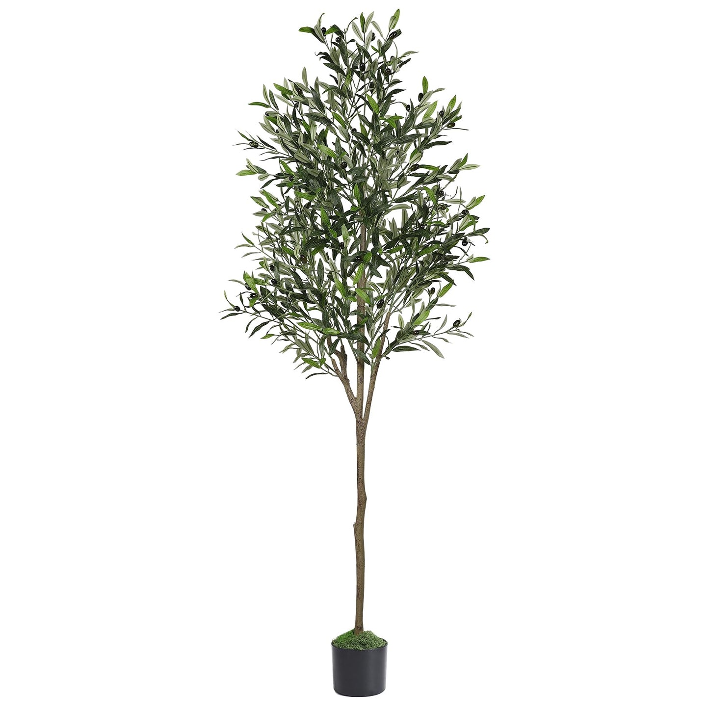 6ft Olive Tree Artificial Indoor, Fake Tree Potted Faux Olive Trees with Lifelike Fruits and Realistic Leaves, Artificial Plants Indoor Fake Plants for Modern Home Office Living Room Decor