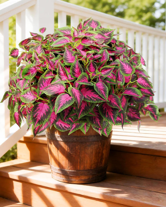 Artificial Plants Outdoor, UV Resistant Artificial Outdoor Plants, Faux Coleus Plants with Stems, Fake Greenery Outdoor Plants for Porch Decor, Patio, Garden, Walkway & Outdoor Planters