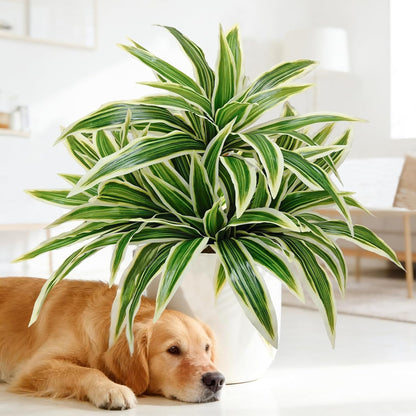 Fake Ferns, Faux Outdoor Plants UV Resistant,3D Real Touch Fake Plants Total 60 Blades,Weatherproof Artificial Plants Outdoor Indoor for Garden Porch Home Office Decor