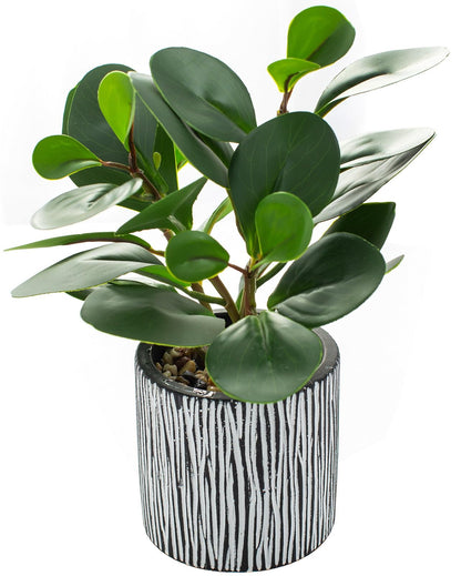 Artificial Plants Decor Greenery Fake Succulents Indoor Potted Fake Plant for Home Decor Farmhouse Room Bathroom Bedroom Kitchen Office Table Decor