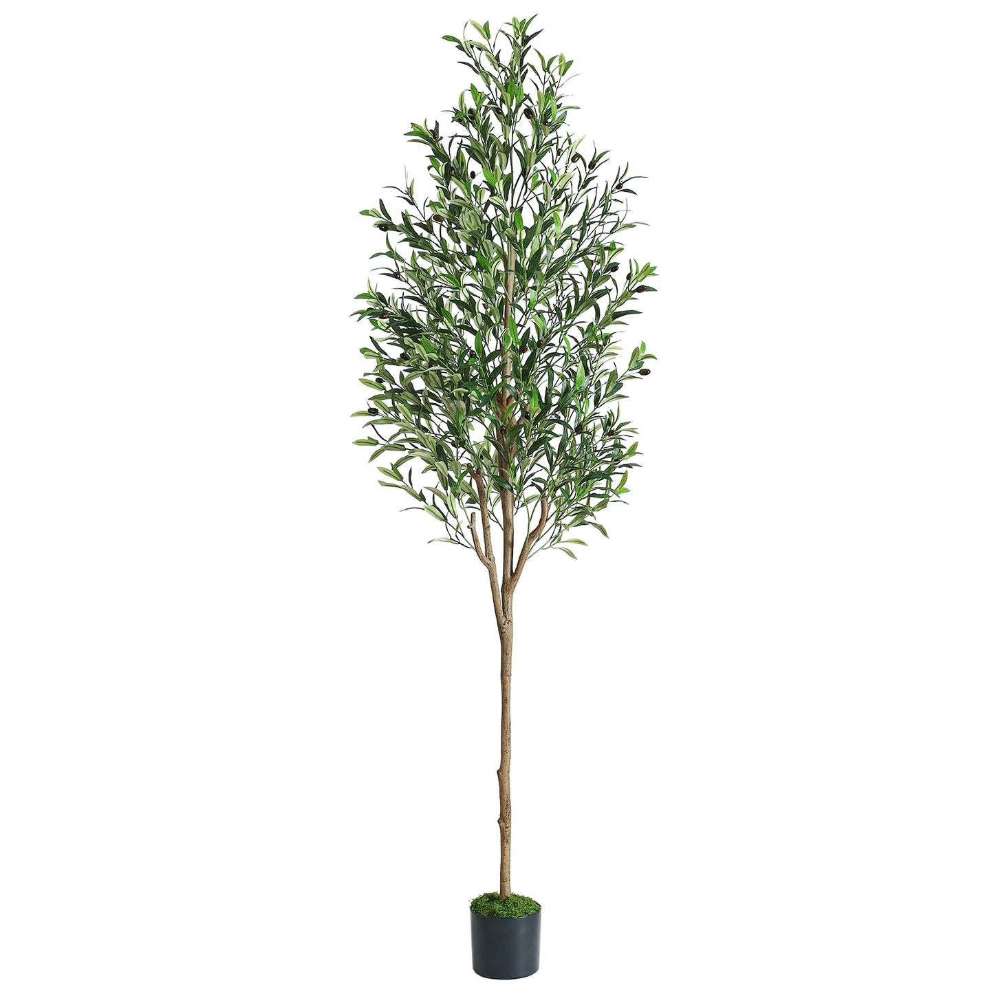 6ft Olive Tree Artificial Indoor, Fake Tree Potted Faux Olive Trees with Lifelike Fruits and Realistic Leaves, Artificial Plants Indoor Fake Plants for Modern Home Office Living Room Decor