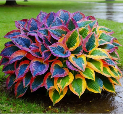 Bulb Flowers Shape Decorative Shade Landscapes with Smooth Leaf Texture Appeal