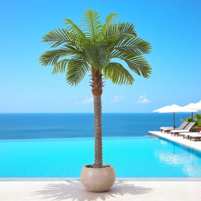 6FT Artificial Coconut Palm, Faux Coconut Silk Palm Tree, Tropical Fake Trees for Indoor Outdoor, Large Sago Palm Plant for Home Office Garden Patio Poolside