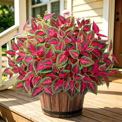 Artificial Plants Outdoor 4 Bundles Faux Coleus Plants UV Resistant Fake Silk Leaves Greenery Plant with Stems for Outside Garden Front Porch Patio Planter Pathway Decoration