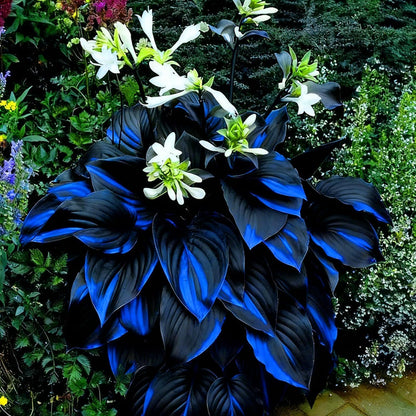 Bulb Flowers Shape Decorative Shade Landscapes with Smooth Leaf Texture Appeal