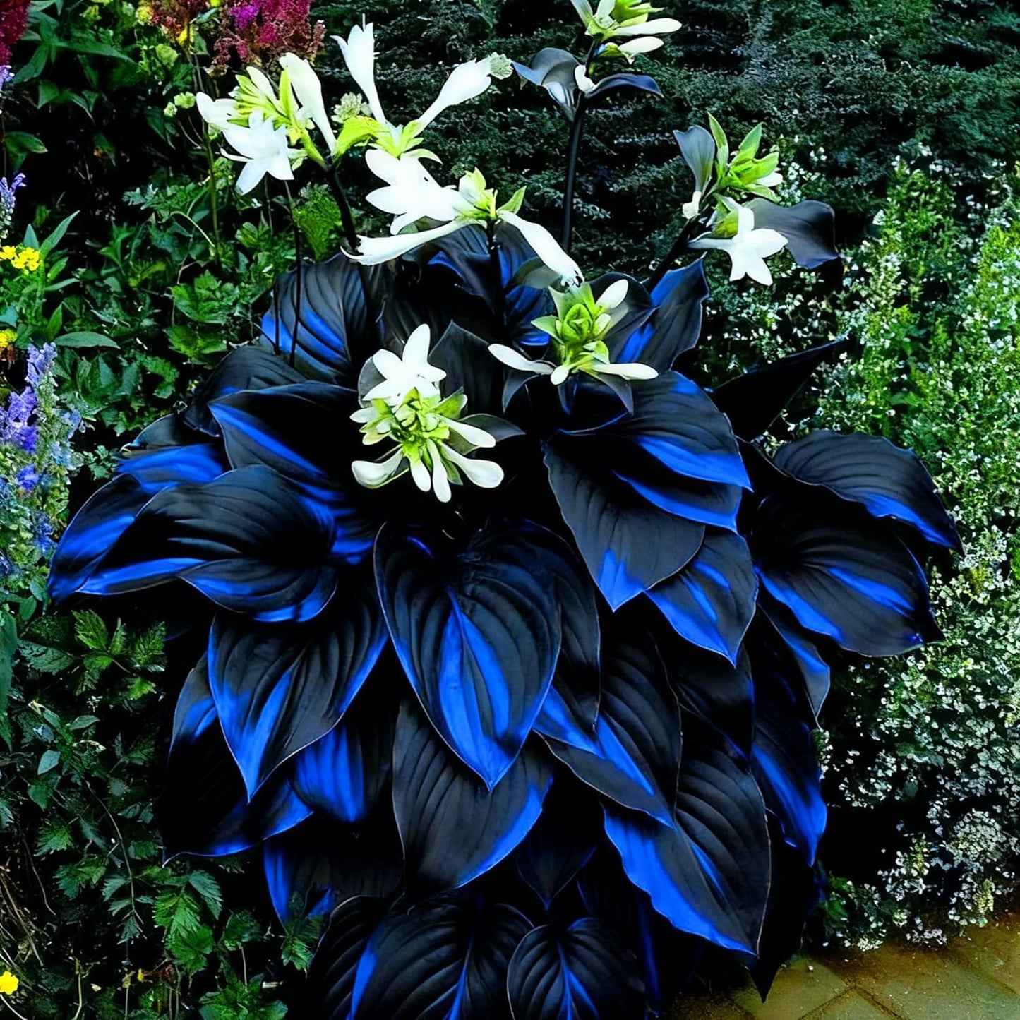Bulb Flowers Shape Decorative Shade Landscapes with Smooth Leaf Texture Appeal