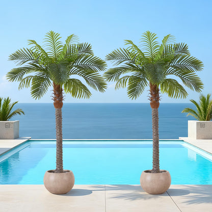 6FT Artificial Coconut Palm, Faux Coconut Silk Palm Tree, Tropical Fake Trees for Indoor Outdoor, Large Sago Palm Plant for Home Office Garden Patio Poolside