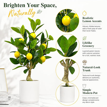 Artificial Lemon Tree 20.5 Inches Tall, Fake Potted Citrus Plant with Lemons, Faux Fruit Plant Medium Fake Houseplant for Indoor Home Office Desk Room Table Decor