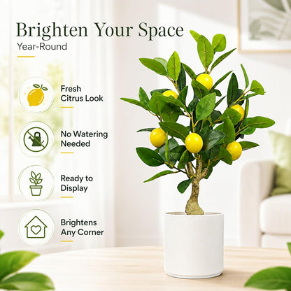 Artificial Lemon Tree 20.5 Inches Tall, Fake Potted Citrus Plant with Lemons, Faux Fruit Plant Medium Fake Houseplant for Indoor Home Office Desk Room Table Decor