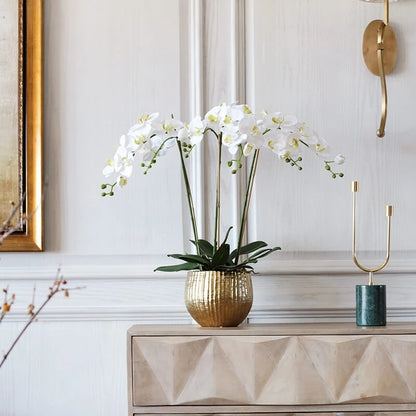 Faxu Wedding Flowers Decor Orchids Plants  Flowers