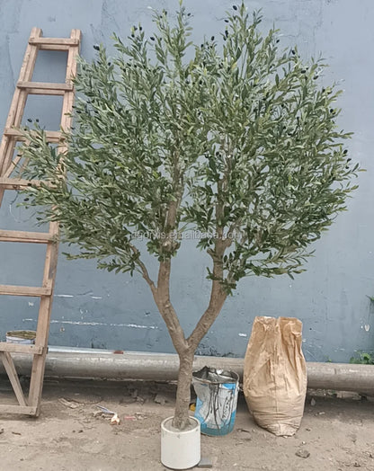Tall 6ft Artificial Olive Tree Bonsai Made in China Potted in Plastic Pot Ov Brand