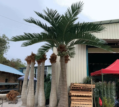 Artificial  king Coconut Palm Trees Fiberglass Trunk Use for Outdoor Decoration